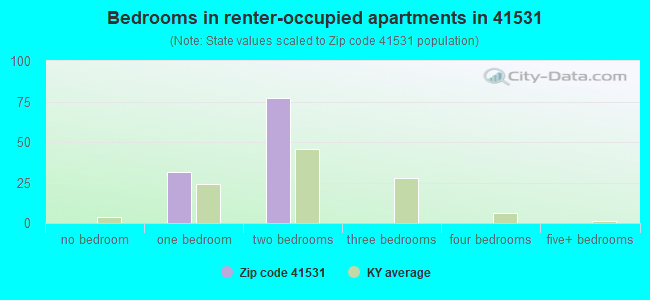 Bedrooms in renter-occupied apartments in 41531 