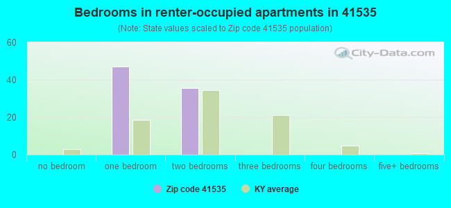 Bedrooms in renter-occupied apartments in 41535 