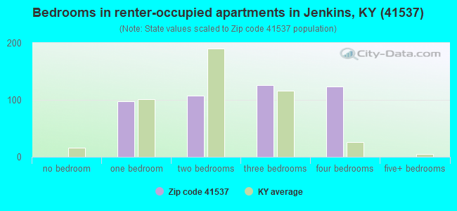 Bedrooms in renter-occupied apartments in Jenkins, KY (41537) 