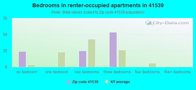 Bedrooms in renter-occupied apartments in 41539 