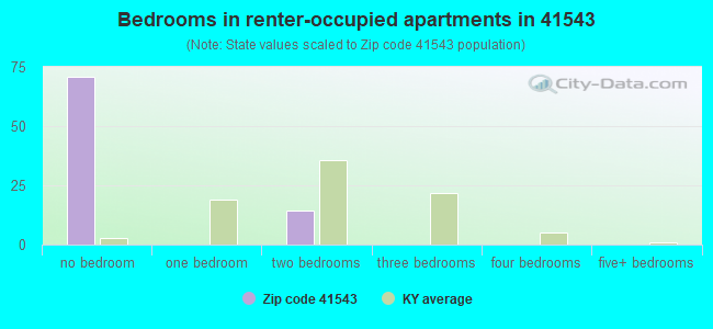 Bedrooms in renter-occupied apartments in 41543 