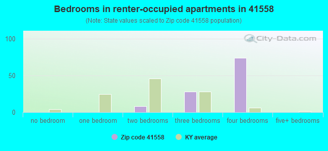 Bedrooms in renter-occupied apartments in 41558 