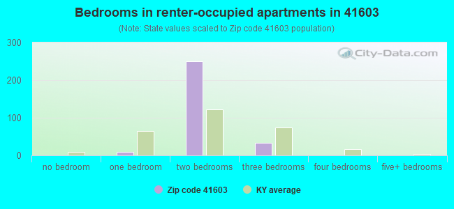 Bedrooms in renter-occupied apartments in 41603 