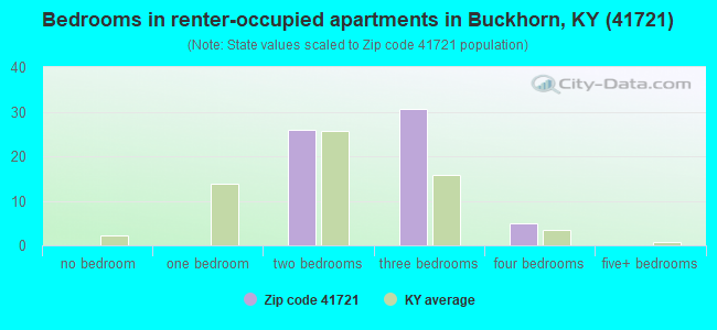 Bedrooms in renter-occupied apartments in Buckhorn, KY (41721) 