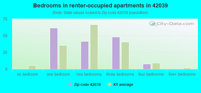 Bedrooms in renter-occupied apartments in 42039 