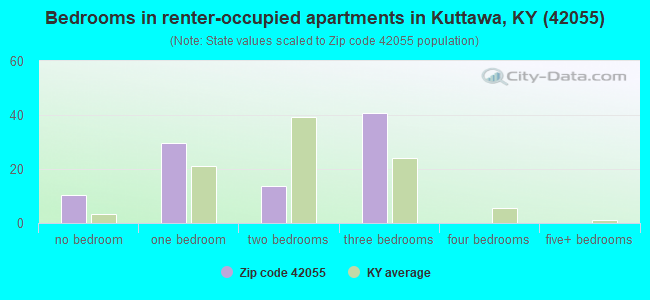 Bedrooms in renter-occupied apartments in Kuttawa, KY (42055) 