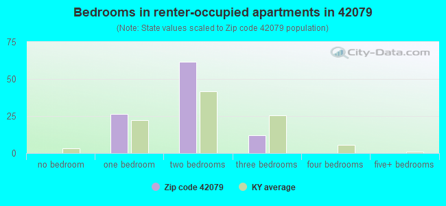 Bedrooms in renter-occupied apartments in 42079 