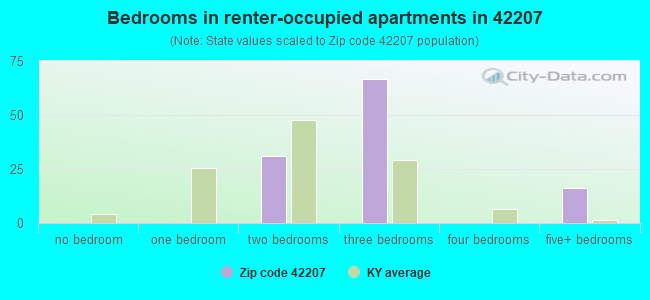 Bedrooms in renter-occupied apartments in 42207 