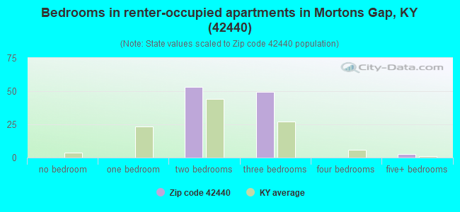 Bedrooms in renter-occupied apartments in Mortons Gap, KY (42440) 