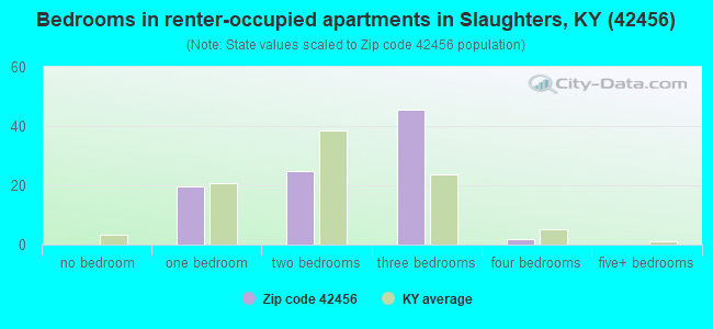 Bedrooms in renter-occupied apartments in Slaughters, KY (42456) 