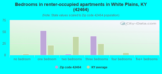 Bedrooms in renter-occupied apartments in White Plains, KY (42464) 