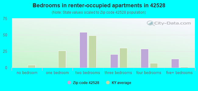 Bedrooms in renter-occupied apartments in 42528 