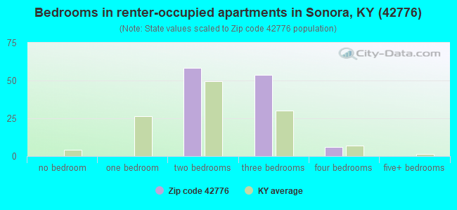 Bedrooms in renter-occupied apartments in Sonora, KY (42776) 