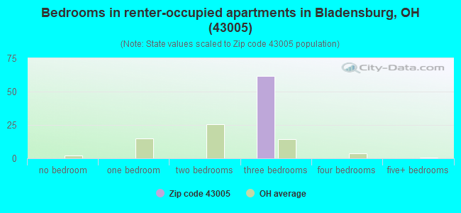 Bedrooms in renter-occupied apartments in Bladensburg, OH (43005) 