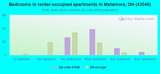 Bedrooms in renter-occupied apartments in Metamora, OH (43540) 