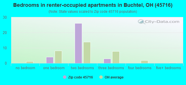 Bedrooms in renter-occupied apartments in Buchtel, OH (45716) 