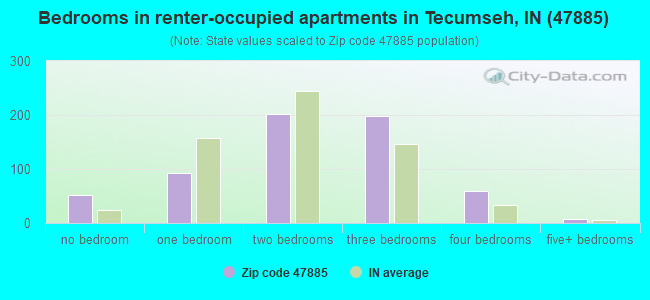 Bedrooms in renter-occupied apartments in Tecumseh, IN (47885) 