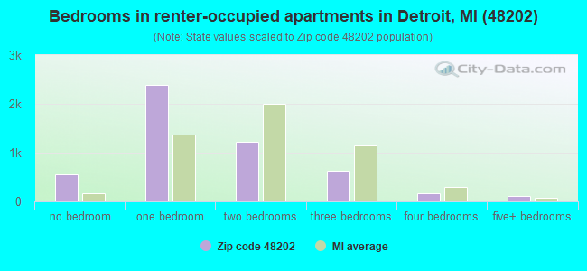 Bedrooms in renter-occupied apartments in Detroit, MI (48202) 