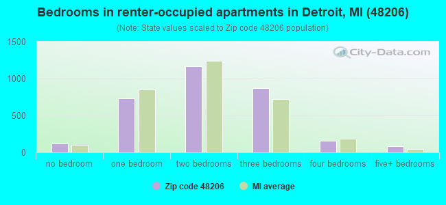 Bedrooms in renter-occupied apartments in Detroit, MI (48206) 