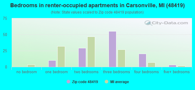 Bedrooms in renter-occupied apartments in Carsonville, MI (48419) 