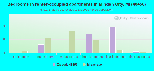 Bedrooms in renter-occupied apartments in Minden City, MI (48456) 