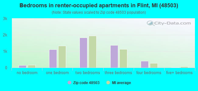 Bedrooms in renter-occupied apartments in Flint, MI (48503) 