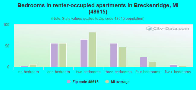 Bedrooms in renter-occupied apartments in Breckenridge, MI (48615) 