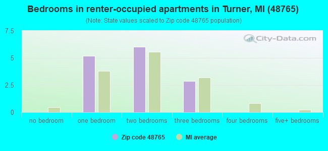 Bedrooms in renter-occupied apartments in Turner, MI (48765) 