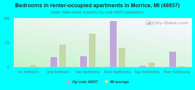 Bedrooms in renter-occupied apartments in Morrice, MI (48857) 