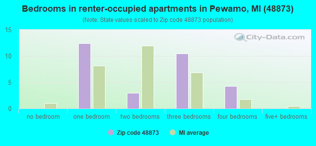Bedrooms in renter-occupied apartments in Pewamo, MI (48873) 