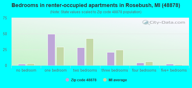 Bedrooms in renter-occupied apartments in Rosebush, MI (48878) 