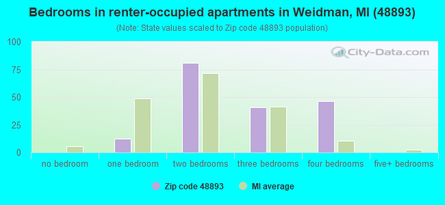 Bedrooms in renter-occupied apartments in Weidman, MI (48893) 