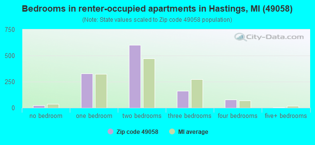 Bedrooms in renter-occupied apartments in Hastings, MI (49058) 