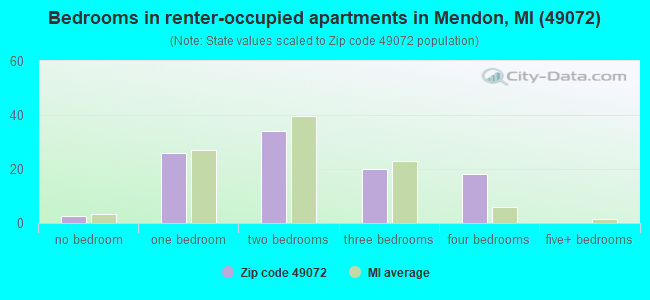 Bedrooms in renter-occupied apartments in Mendon, MI (49072) 