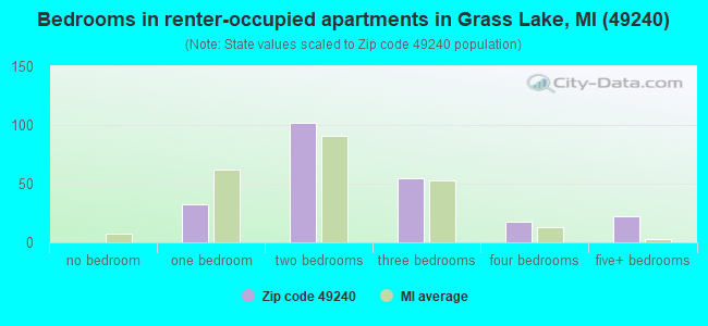 Bedrooms in renter-occupied apartments in Grass Lake, MI (49240) 