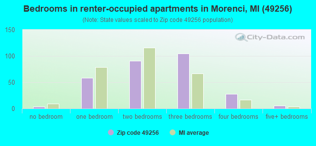 Bedrooms in renter-occupied apartments in Morenci, MI (49256) 