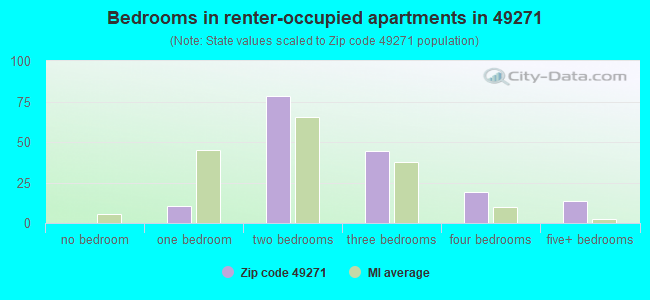 Bedrooms in renter-occupied apartments in 49271 