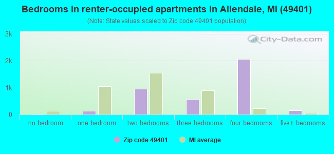 Bedrooms in renter-occupied apartments in Allendale, MI (49401) 