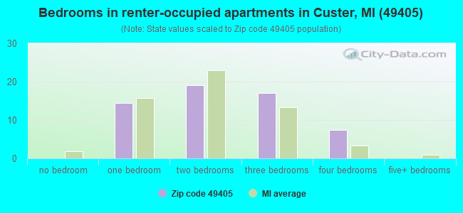 Bedrooms in renter-occupied apartments in Custer, MI (49405) 