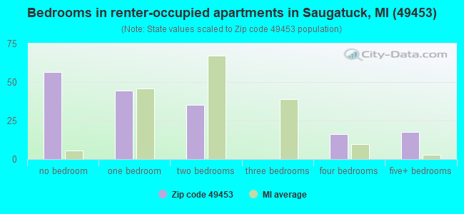 Bedrooms in renter-occupied apartments in Saugatuck, MI (49453) 