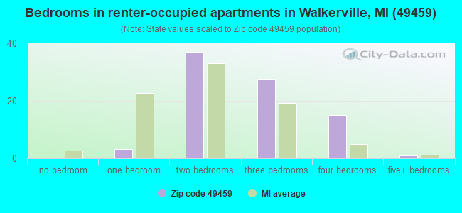 Bedrooms in renter-occupied apartments in Walkerville, MI (49459) 