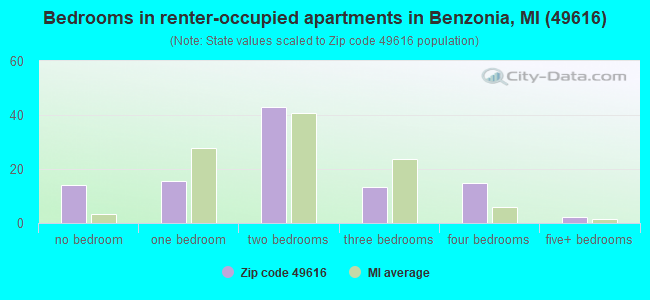 Bedrooms in renter-occupied apartments in Benzonia, MI (49616) 
