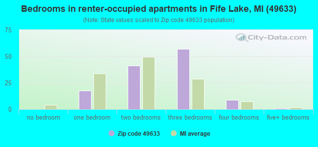 Bedrooms in renter-occupied apartments in Fife Lake, MI (49633) 