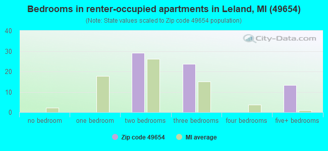 Bedrooms in renter-occupied apartments in Leland, MI (49654) 