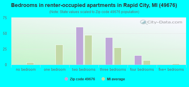 Bedrooms in renter-occupied apartments in Rapid City, MI (49676) 