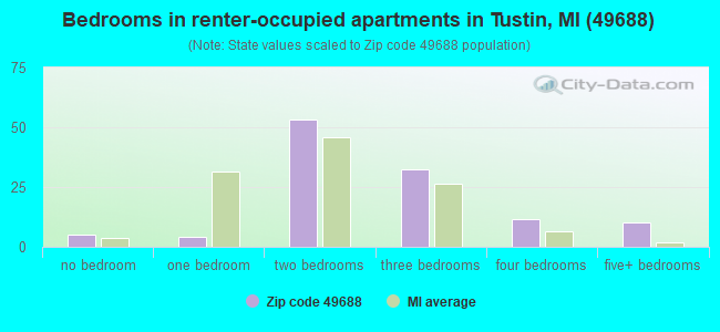 Bedrooms in renter-occupied apartments in Tustin, MI (49688) 