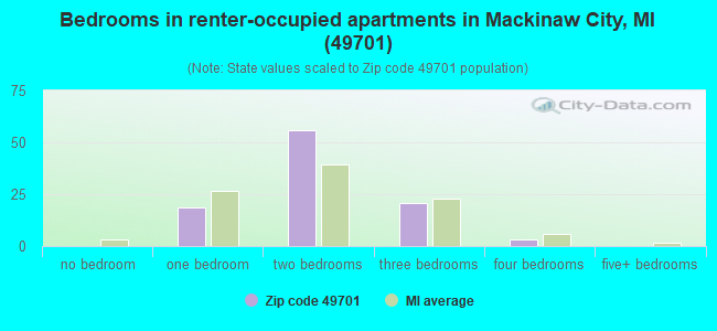 Bedrooms in renter-occupied apartments in Mackinaw City, MI (49701) 