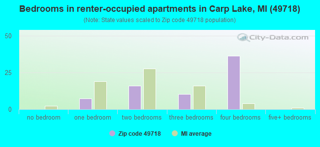 Bedrooms in renter-occupied apartments in Carp Lake, MI (49718) 
