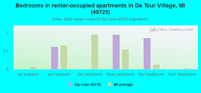 Bedrooms in renter-occupied apartments in De Tour Village, MI (49725) 