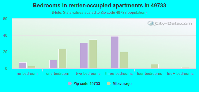 Bedrooms in renter-occupied apartments in 49733 